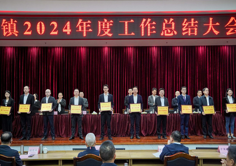 双项殊荣！伟德国际1946bv官网电声荣登石排镇2024年度“双十强”榜单